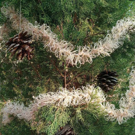 Eco-Friendly Tinsel from By Goldenberry